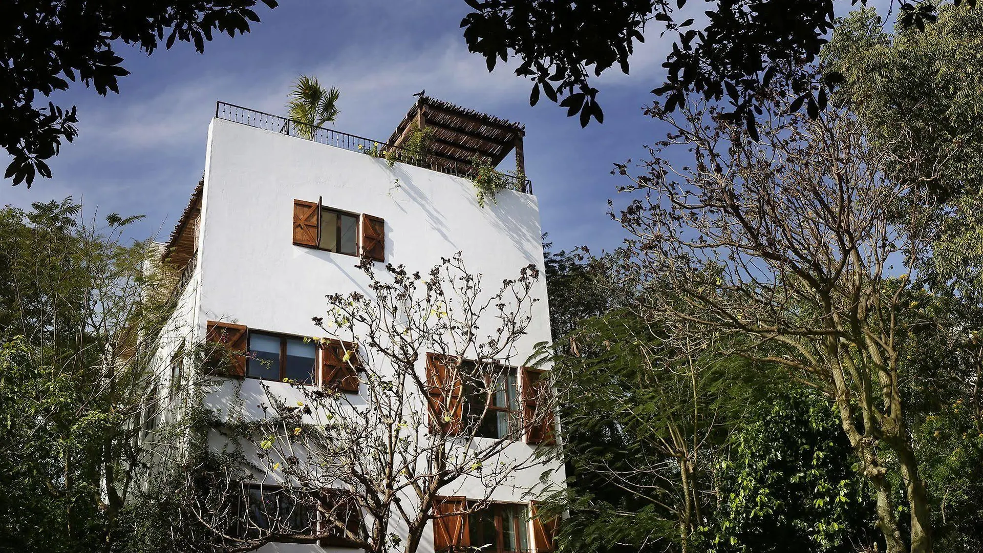 ****  Hotel La Semilla A Member Of Design Hotels (Adults Only) Playa del Carmen Mexico
