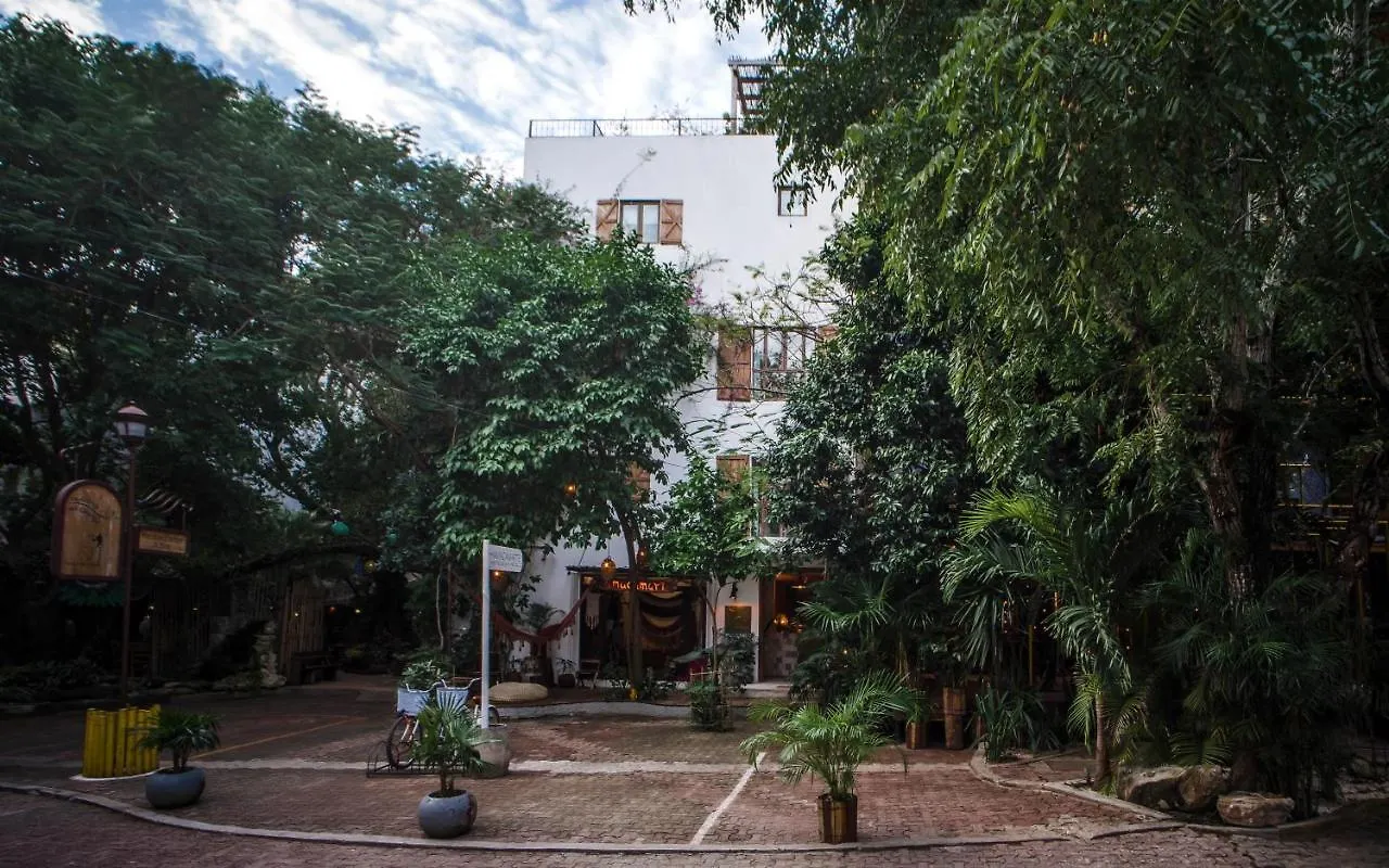 Hotel La Semilla A Member Of Design Hotels (Adults Only) Playa del Carmen