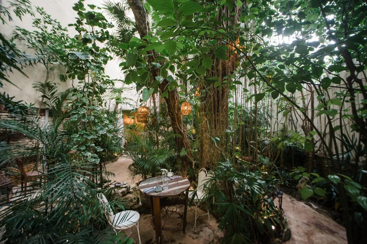 Hotel La Semilla A Member Of Design Hotels (Adults Only) プレヤデルカーメン 4*,