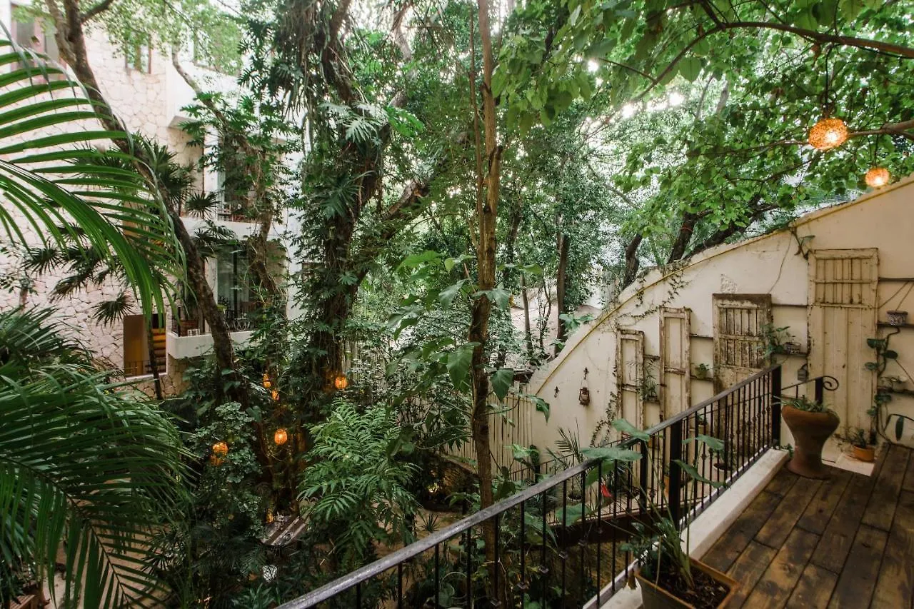 Hotel La Semilla A Member Of Design Hotels (Adults Only) プレヤデルカーメン