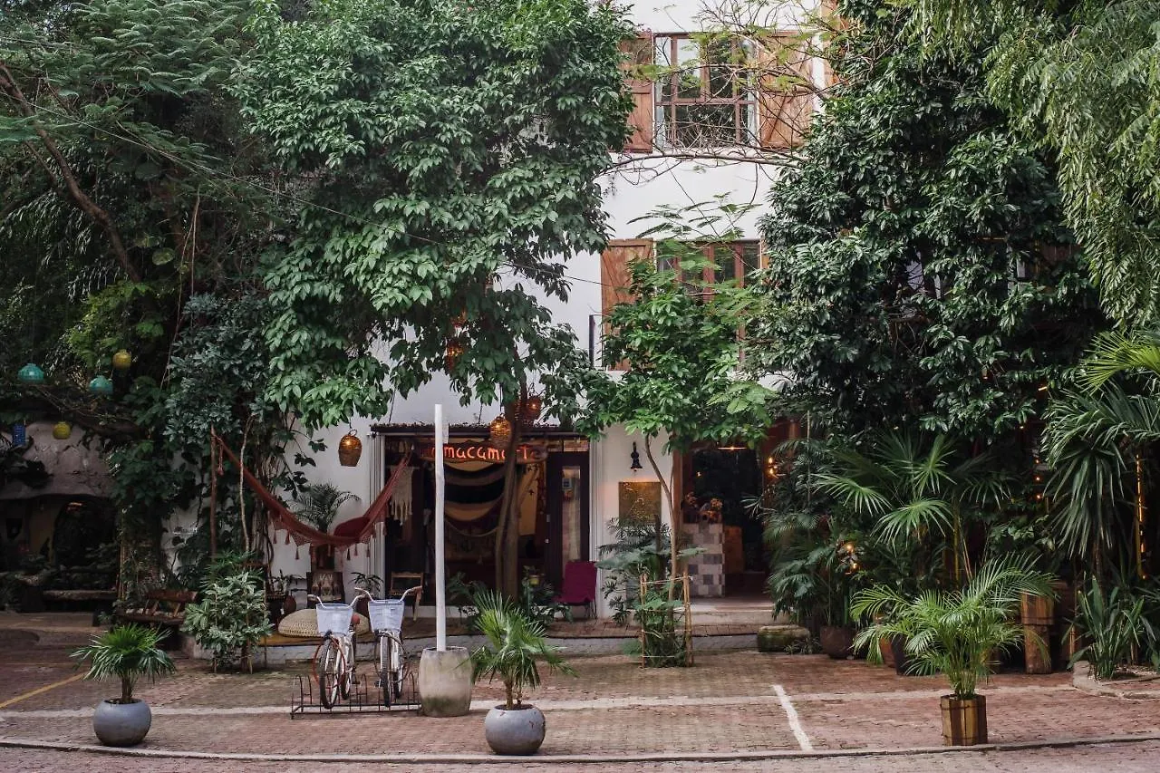 פלאייה דל כרמן Hotel La Semilla A Member Of Design Hotels (Adults Only)